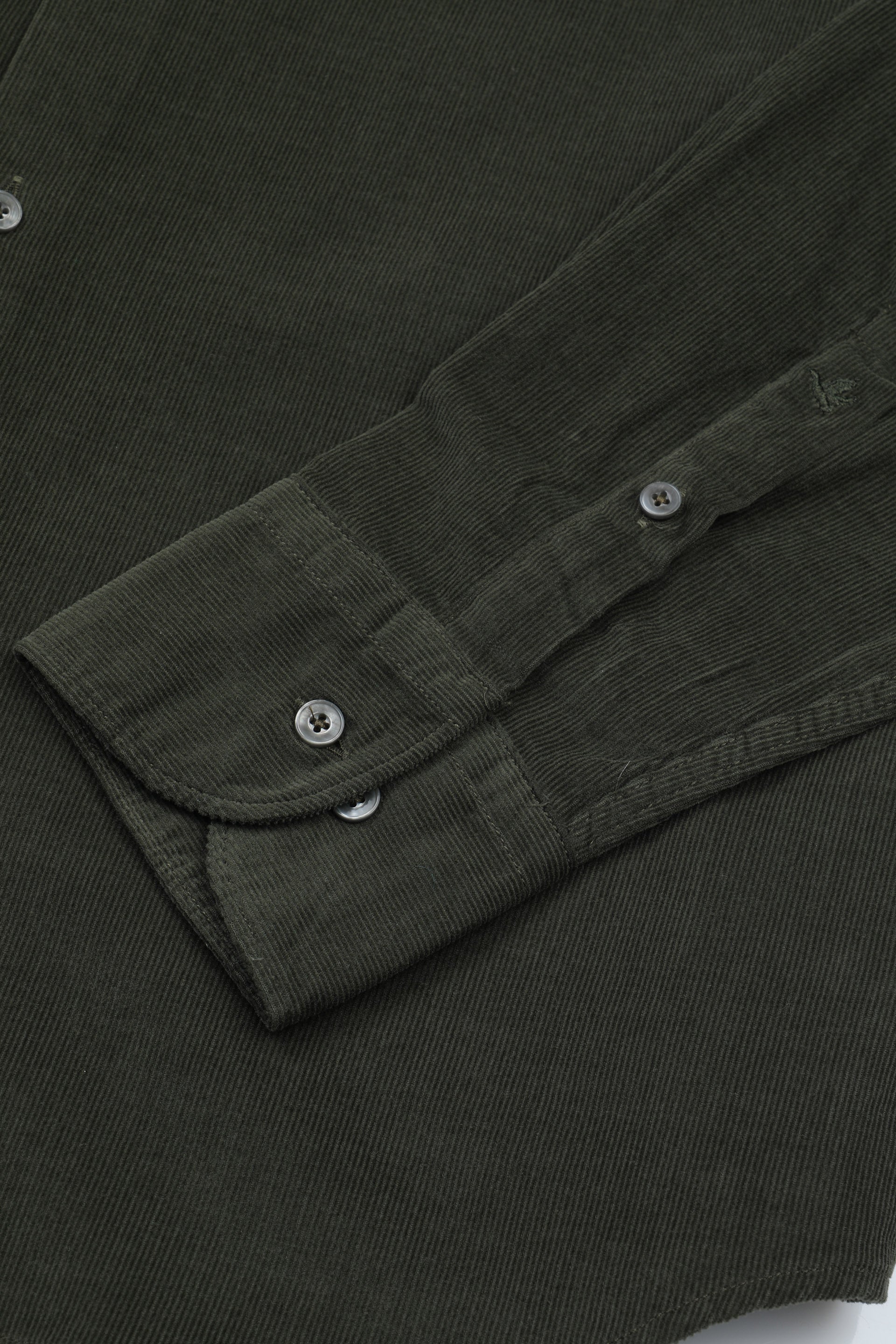 Camicia slim fit con collo spread in velluto di cotone. Verde - Frantoio